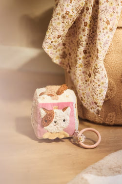 Cube d'Activités - Flower Fairies